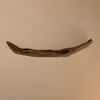 thedriftwood